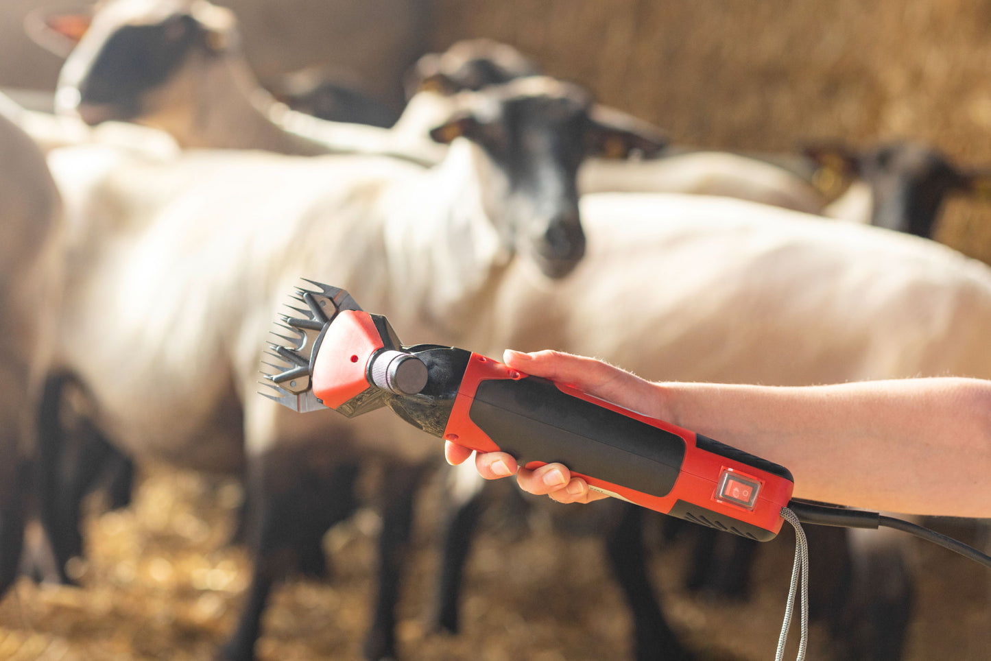 ELEKTRICNE ŠKARJE za ovce FarmClipper 350W