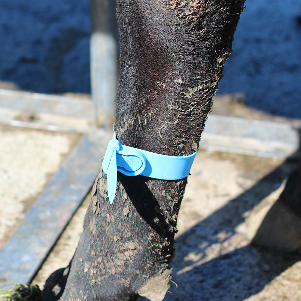 Označevalni trak Quick Strap S