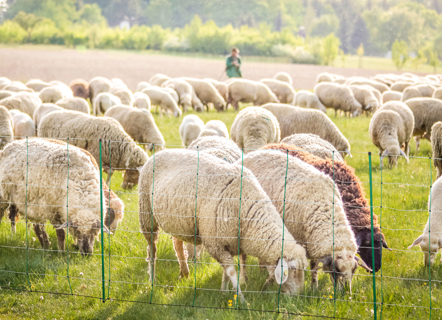 MREŽA TopLine Plus 108cm dvojna - 50m