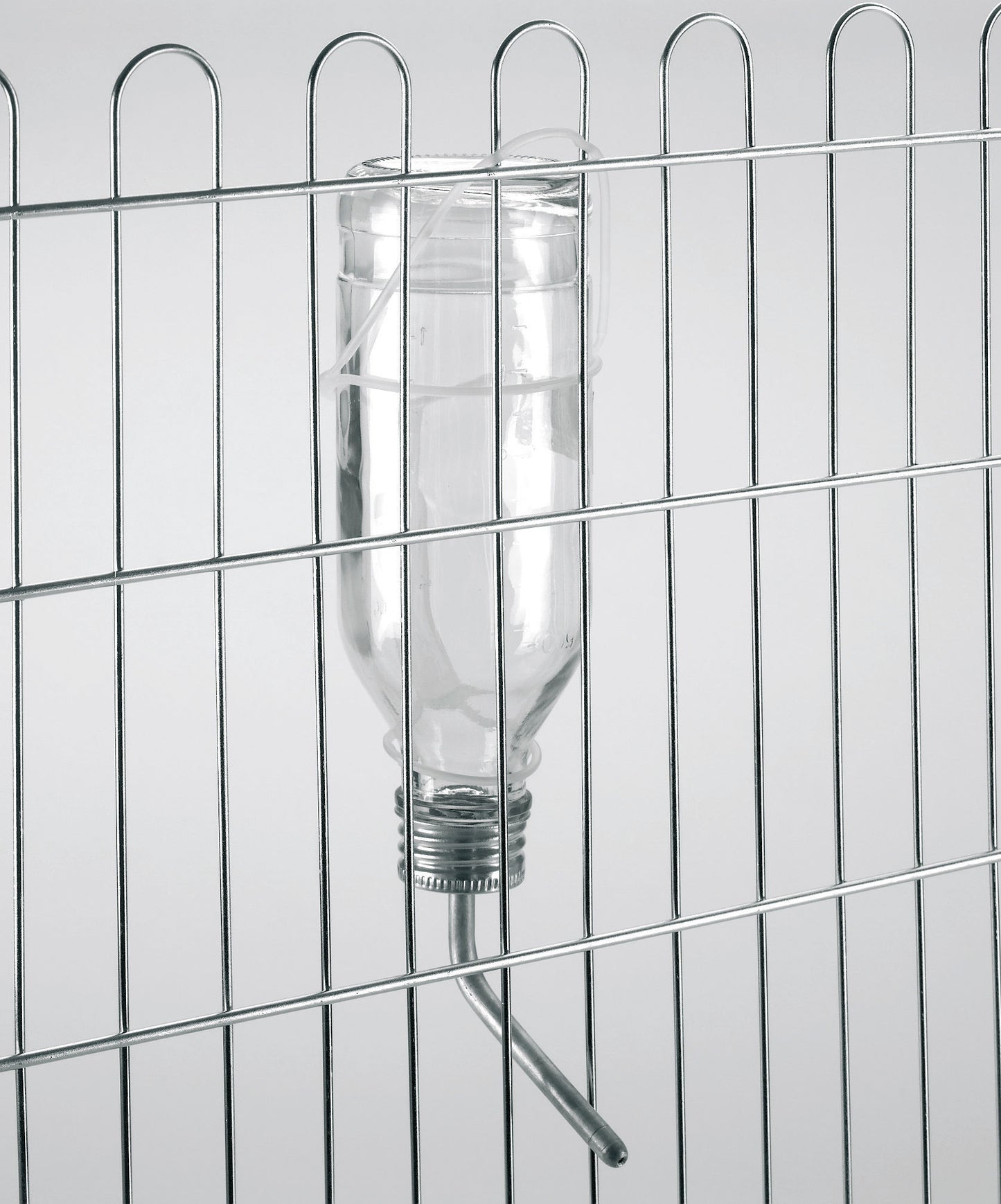 NAPAJALNIK za zajce - steklen 500ml