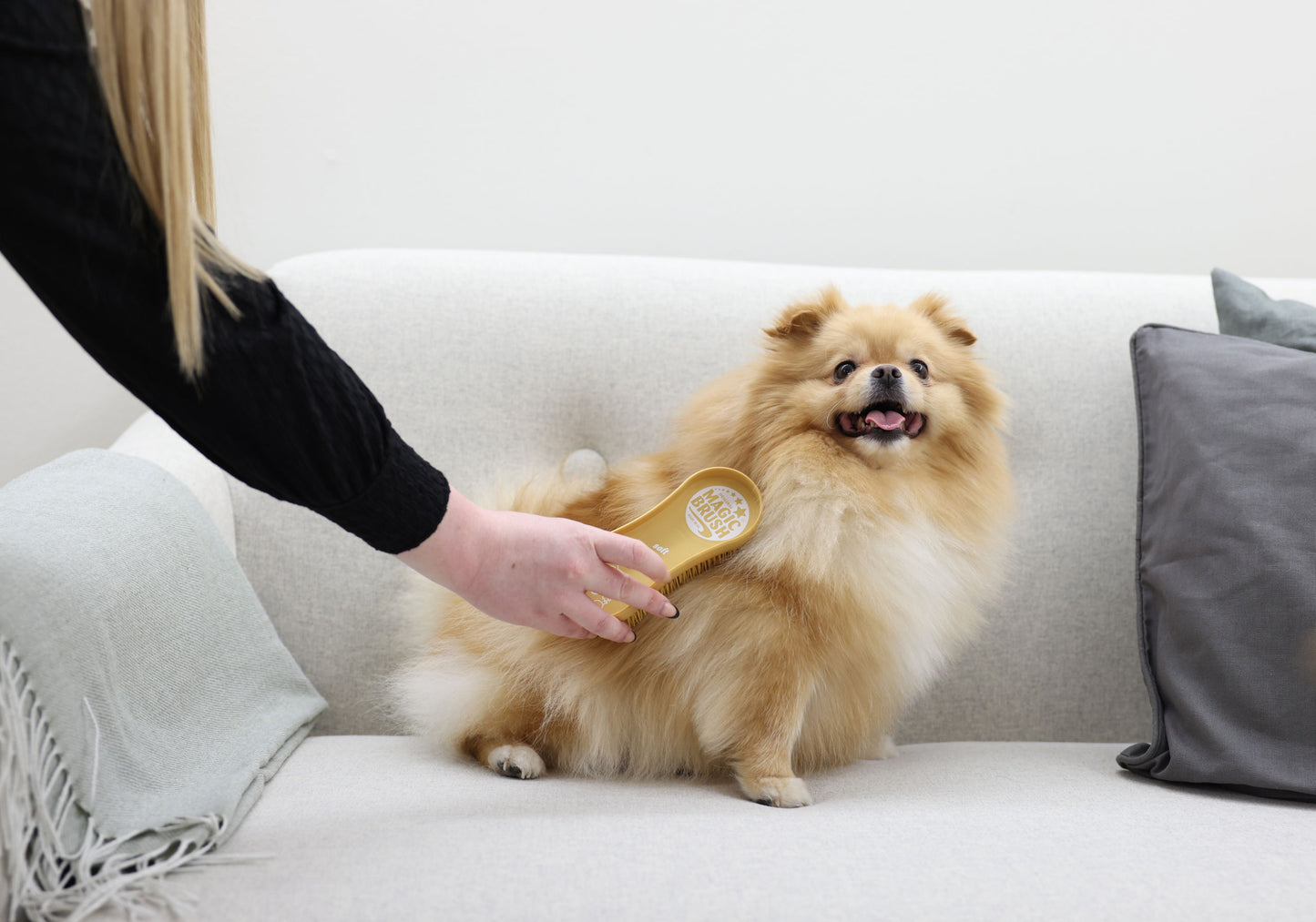 MagicBrush DOG soft sandstorm