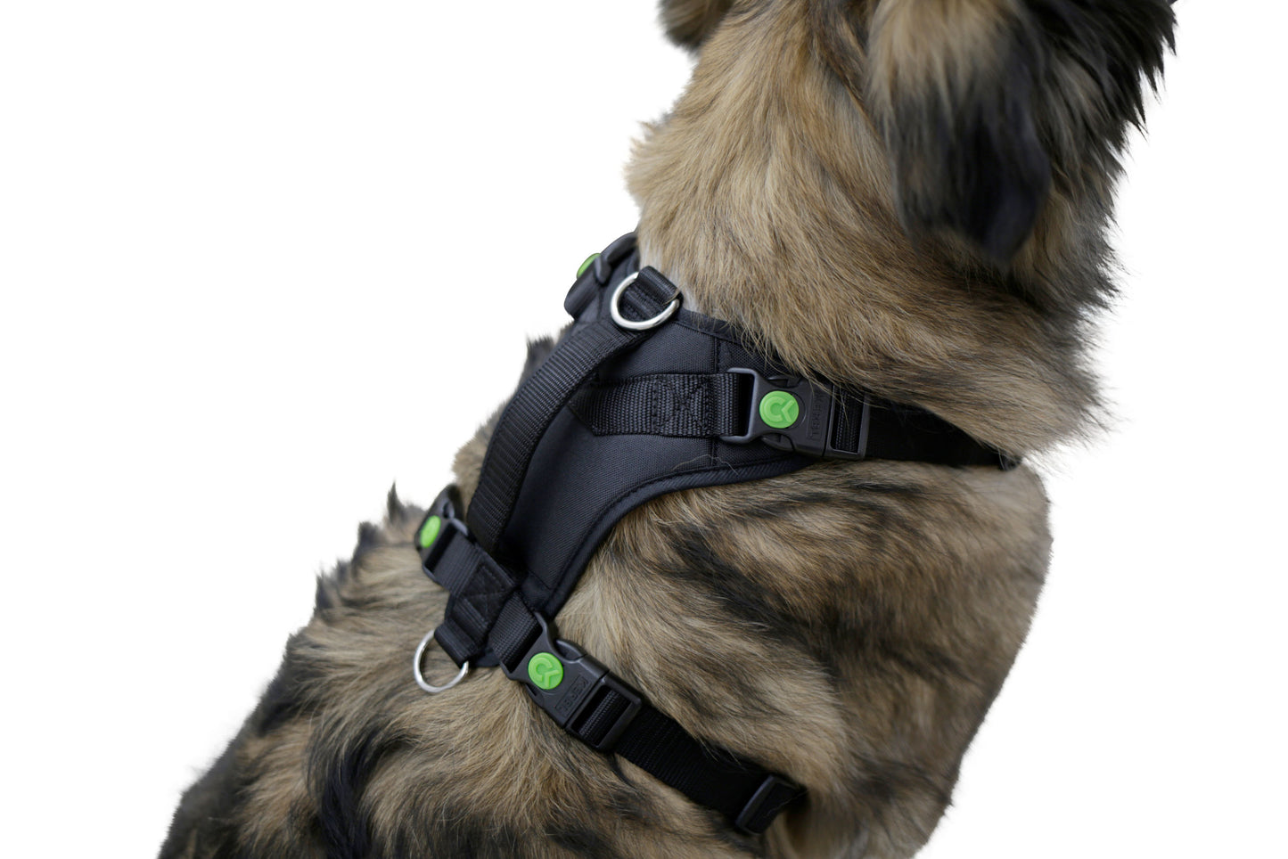 Pasji pas Pulsive, crn, 36-50 cm, 46-60cm