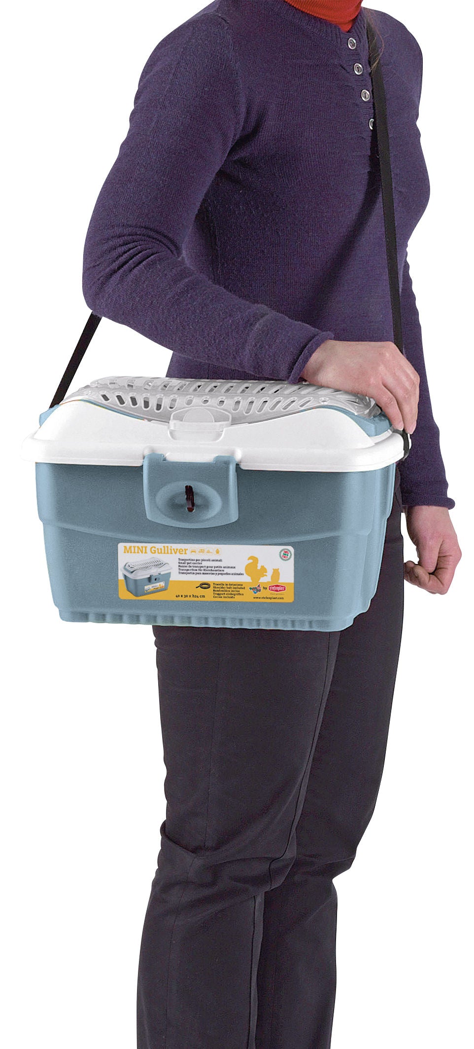 TRANSPORTNI box Mini Gulliver - 40x30x24cm