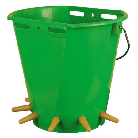 VZREJA JAGNJET