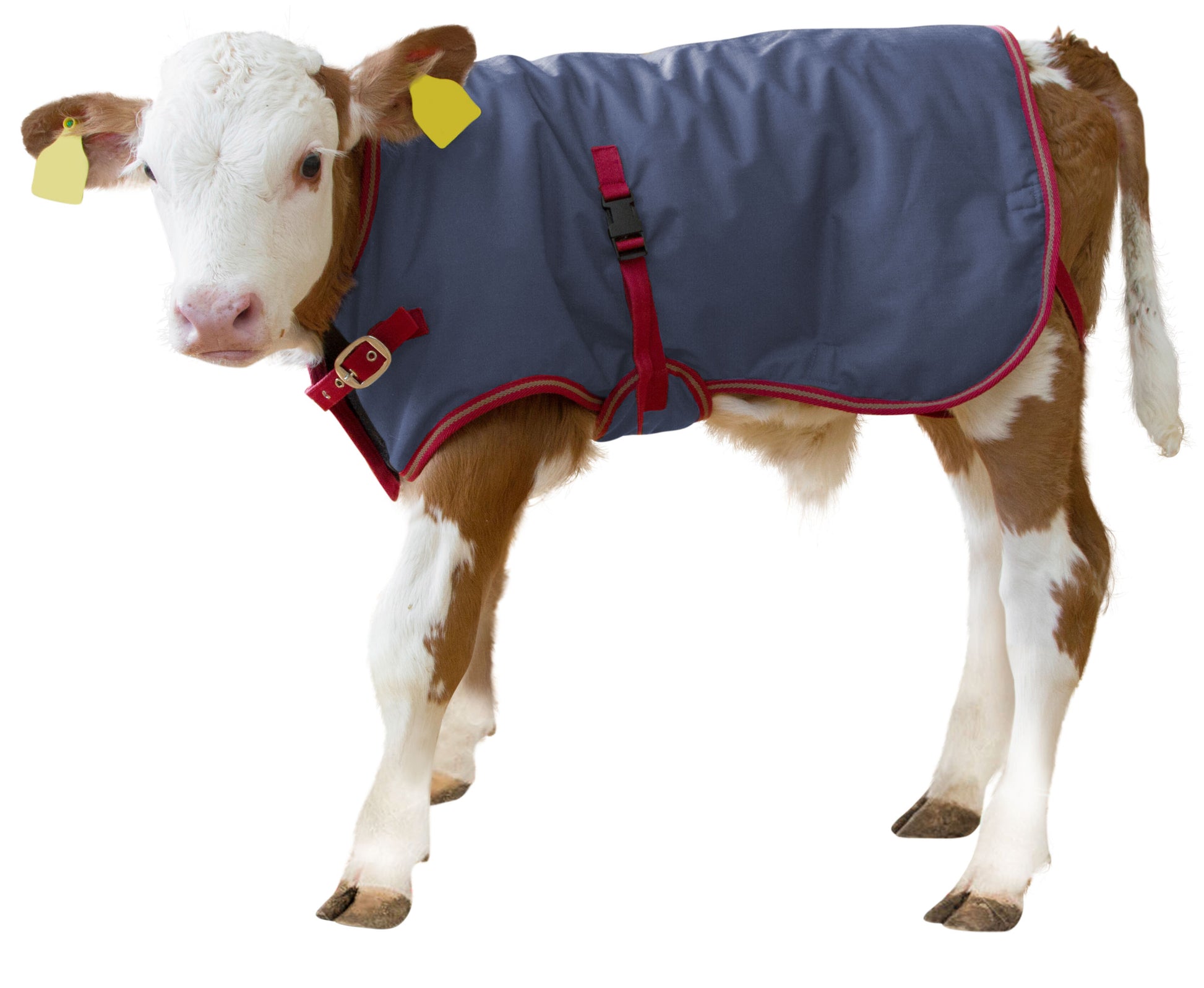 POKRIVALO za teleta ThermoPlus 80cm