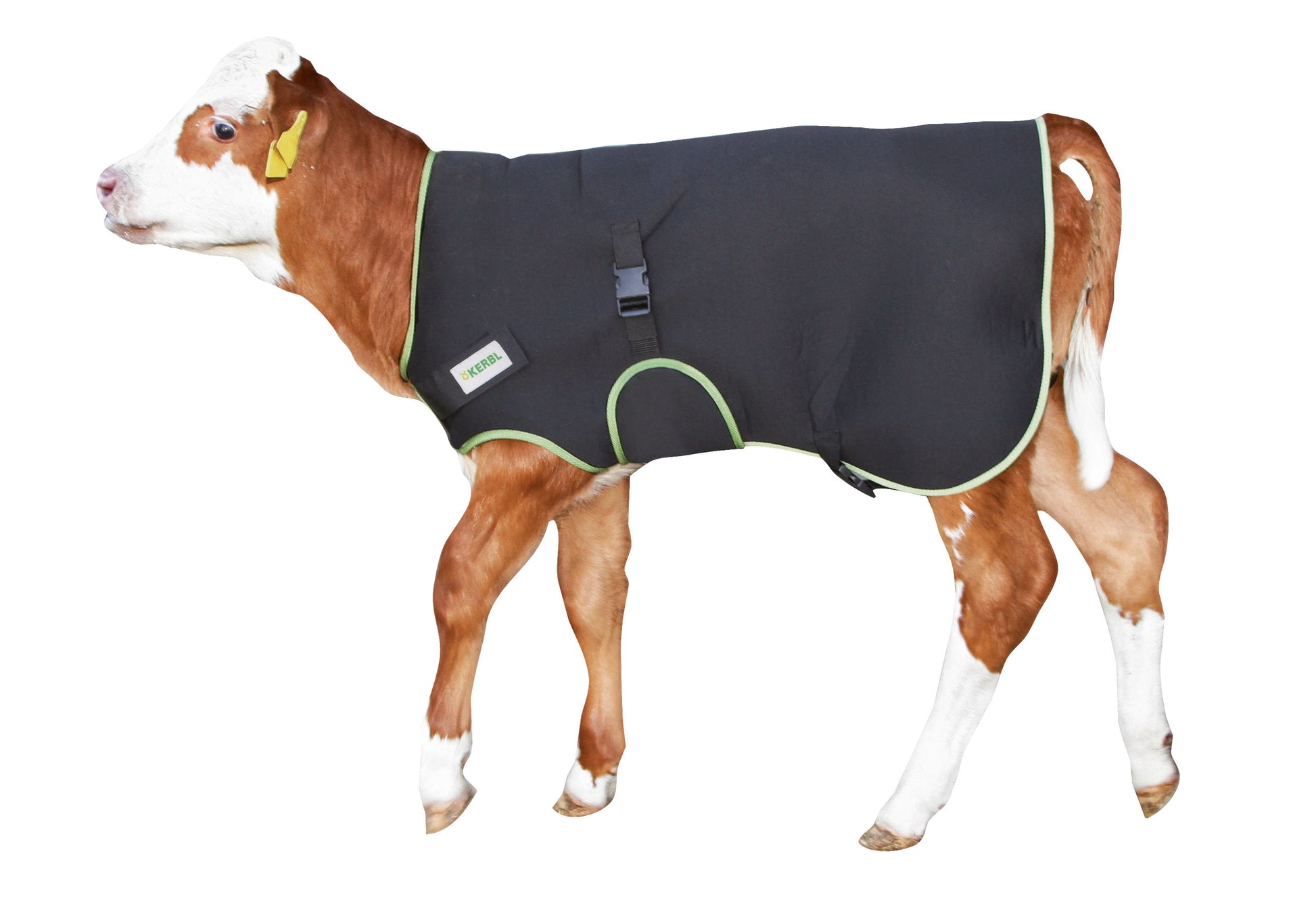 POKRIVALO za teleta Premium - 80cm