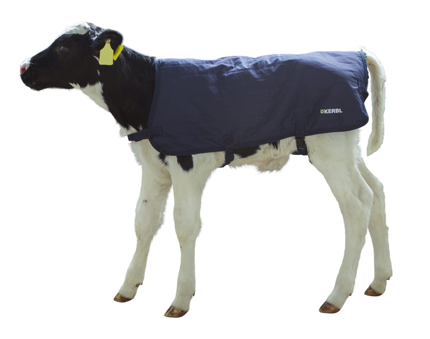 POKRIVALO za teleta EasyWear 80cm