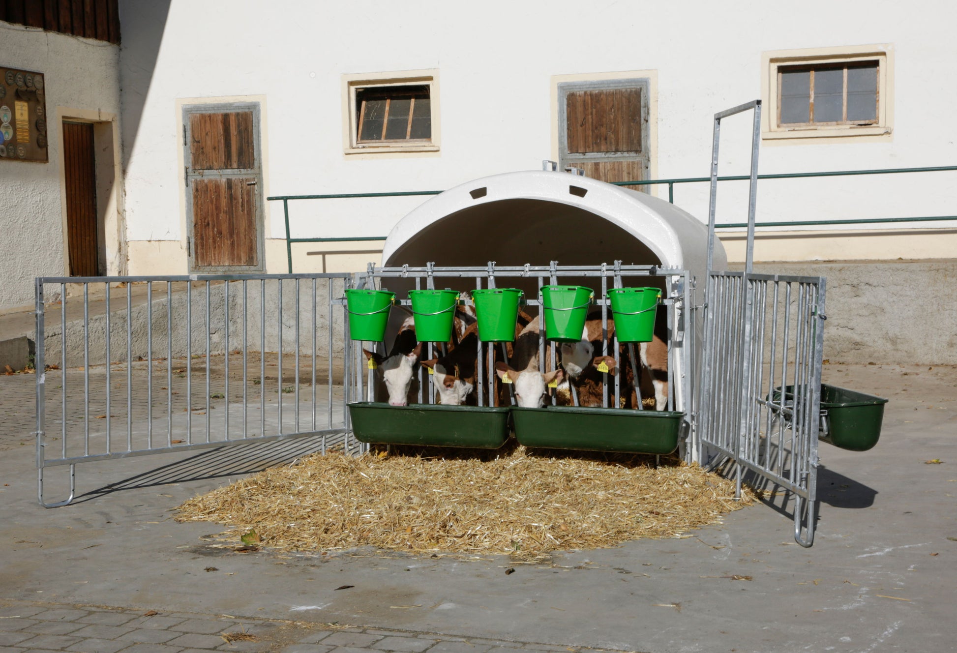 IGLU Premium Plus XL - z ogrado