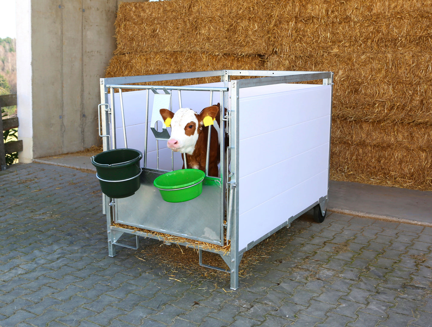 BOKS za teleta mali 130 × 85cm