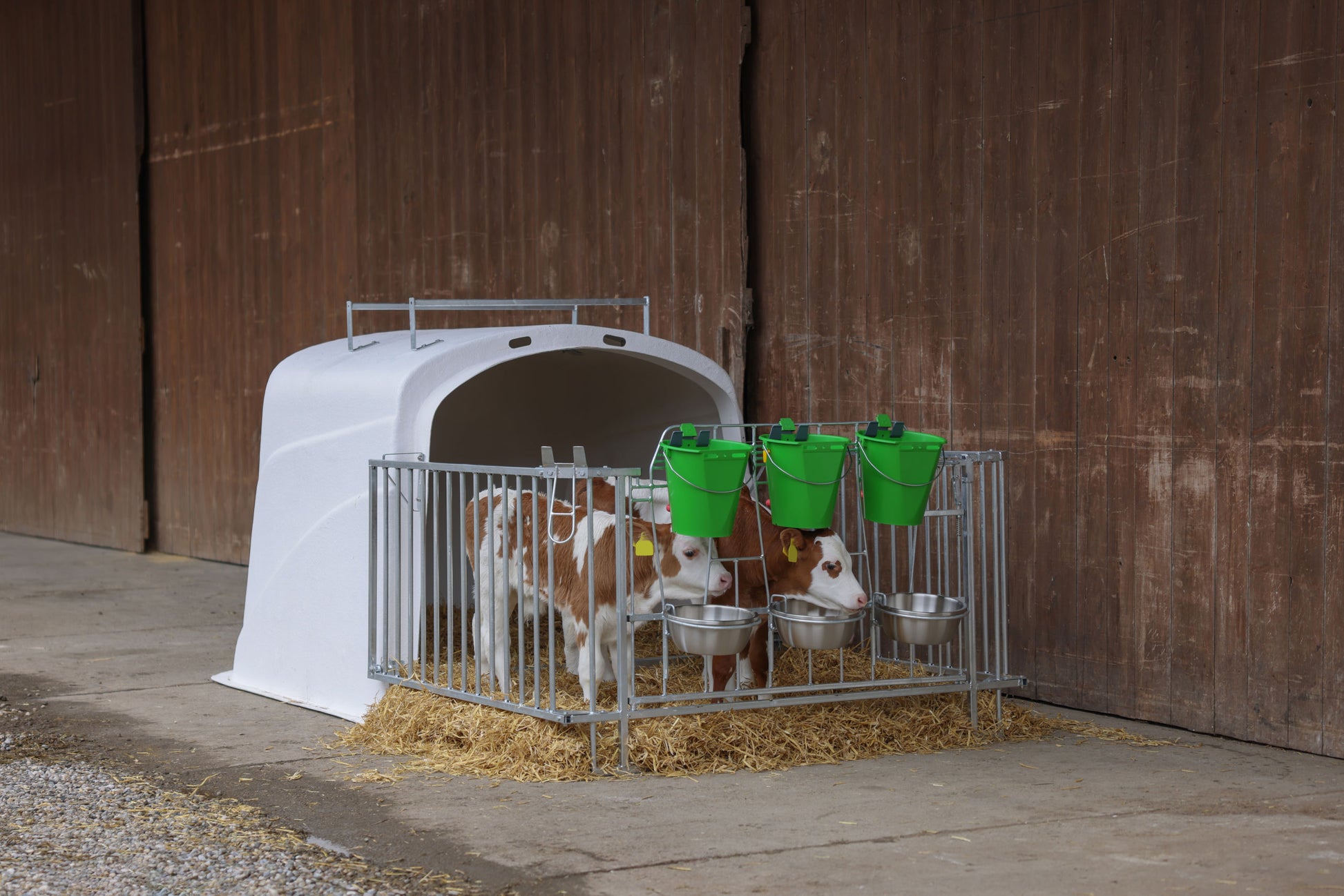 CalfHouse Premium DUO z ograjo