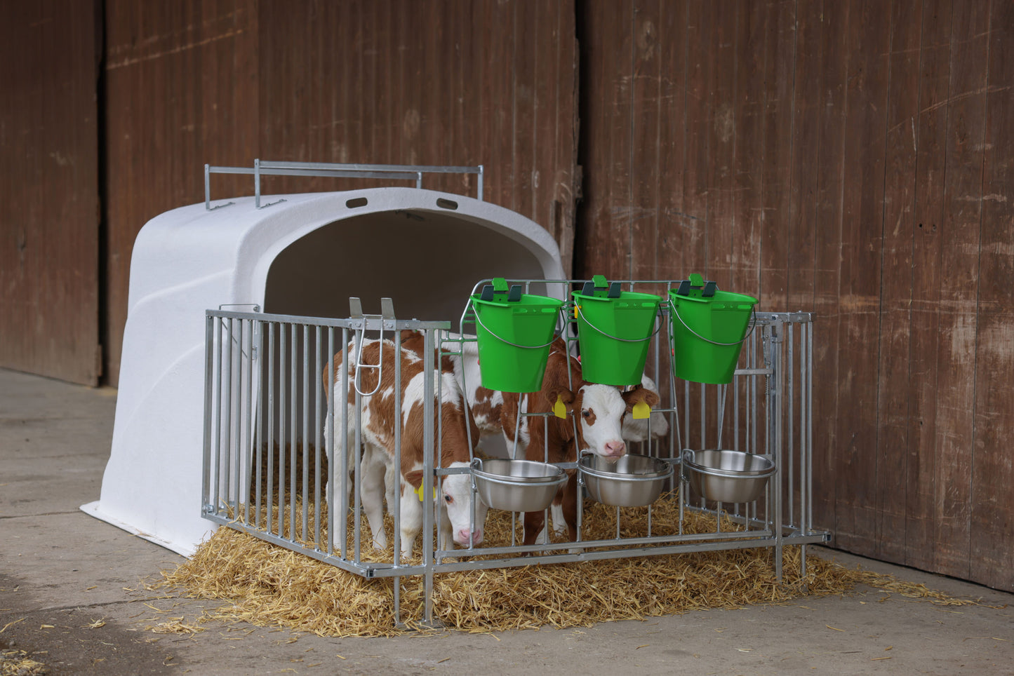 CalfHouse Premium DUO z ograjo