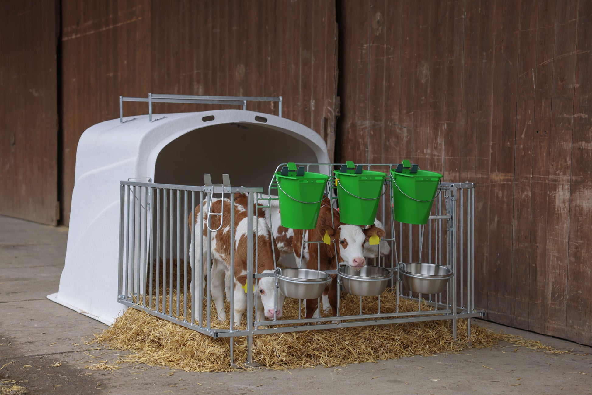 CalfHouse Premium DUO z ograjo