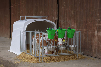 CalfHouse Premium DUO z ograjo