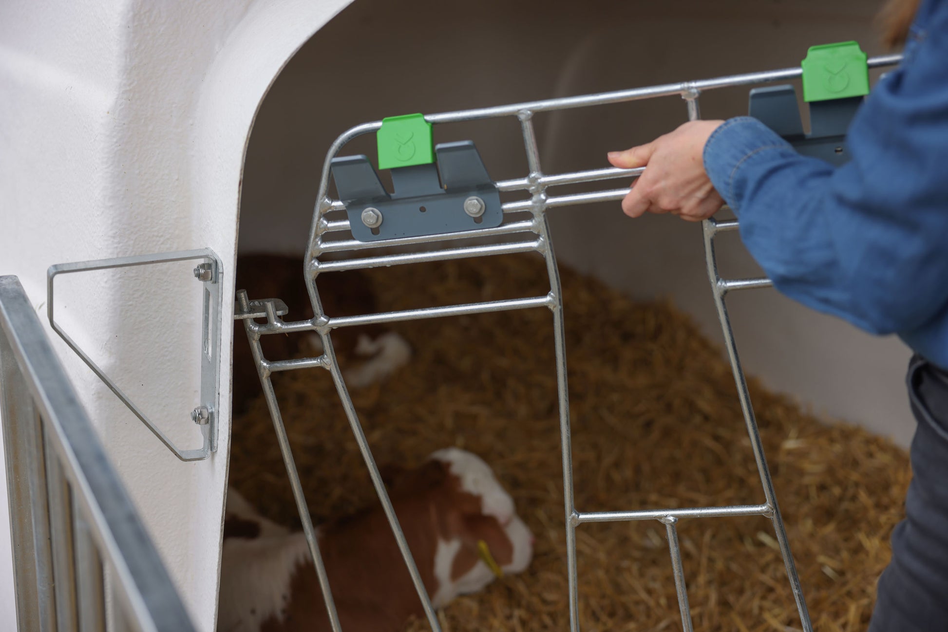 CalfHouse Premium DUO z ograjo