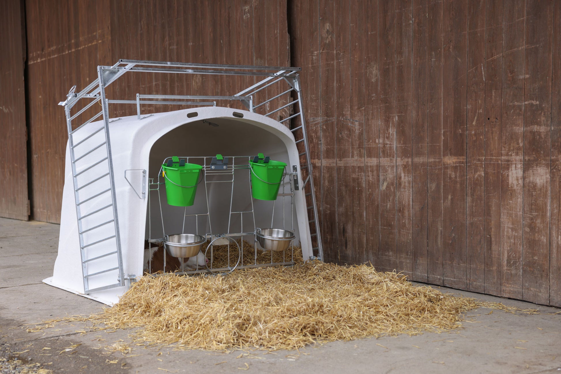 CalfHouse Premium DUO z ograjo