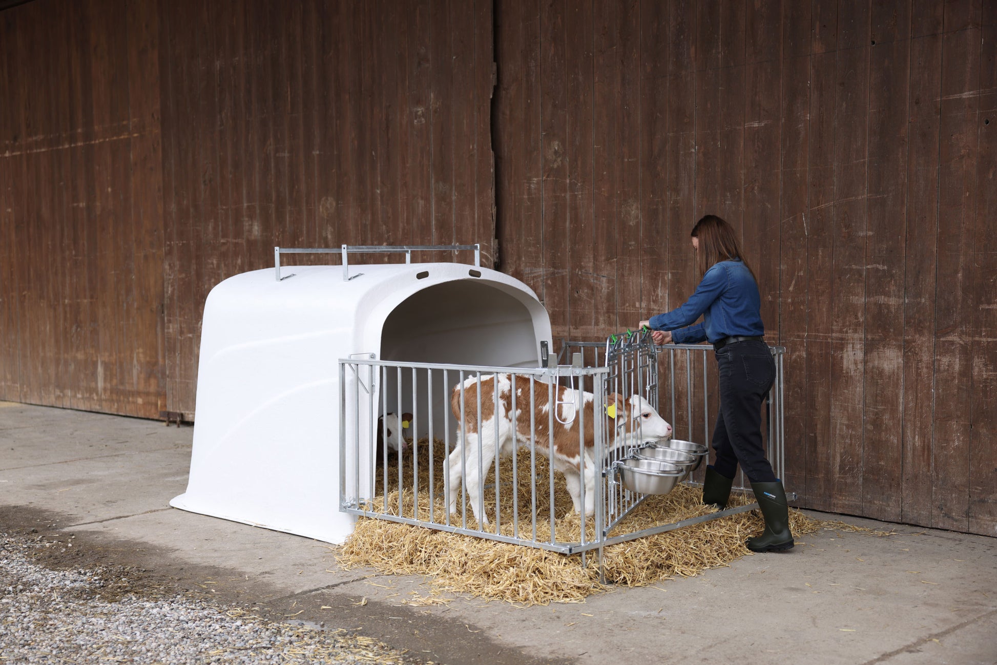 CalfHouse Premium DUO z ograjo