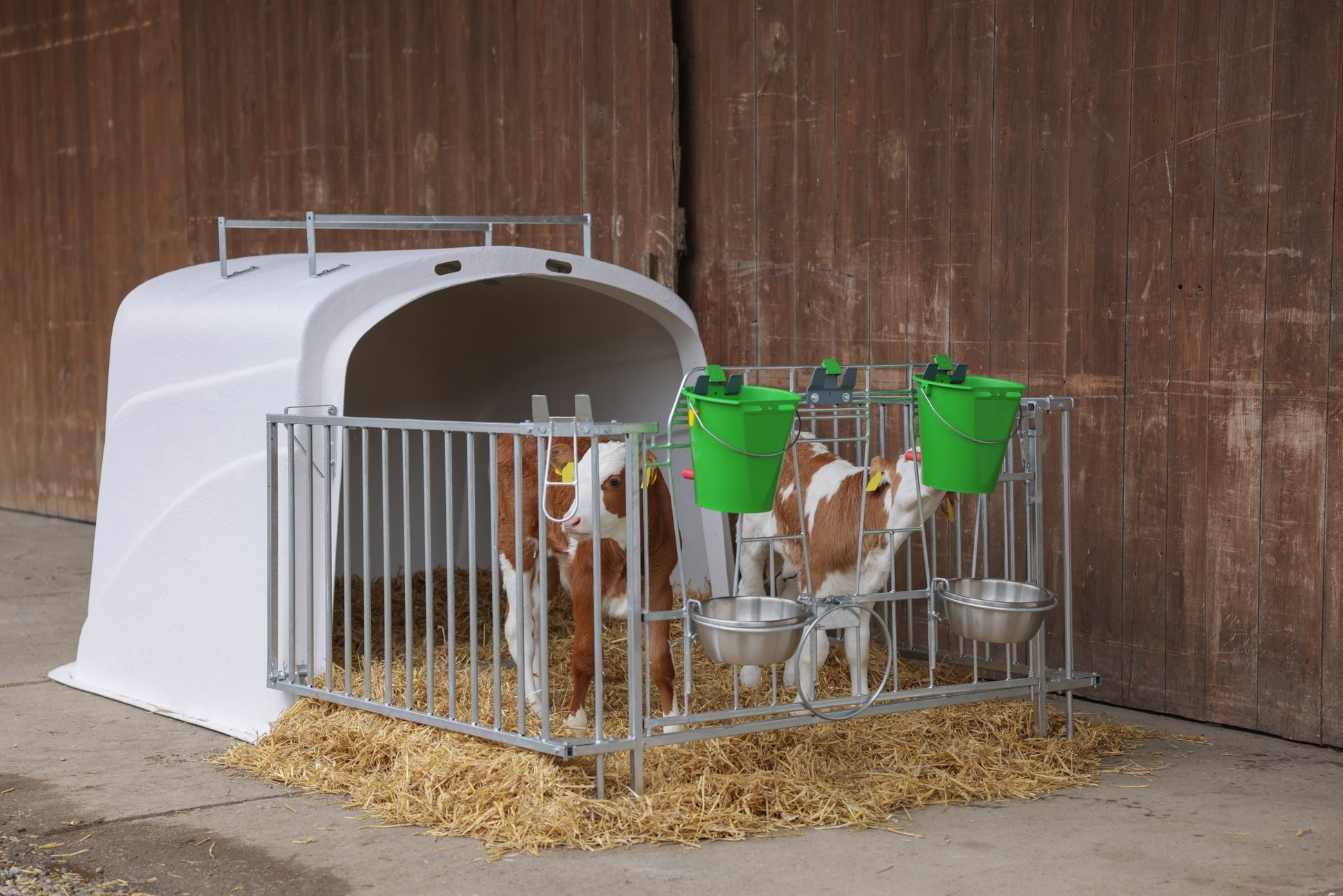 CalfHouse Premium DUO z ograjo