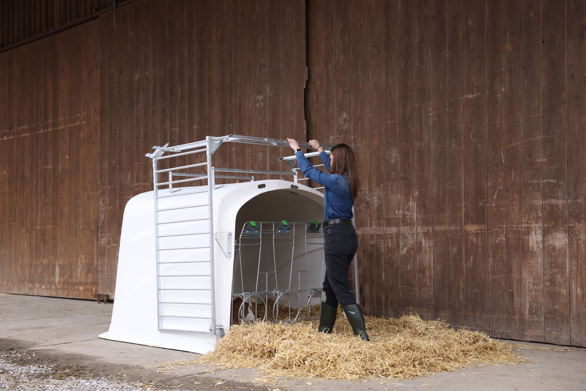 CalfHouse Premium DUO z ograjo