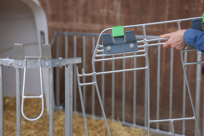 CalfHouse Premium DUO z ograjo