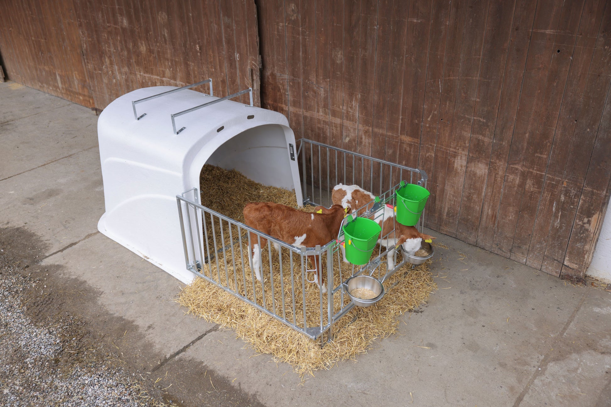 CalfHouse Premium DUO z ograjo