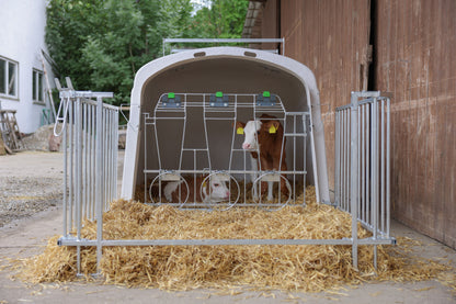 CalfHouse Premium DUO z ograjo