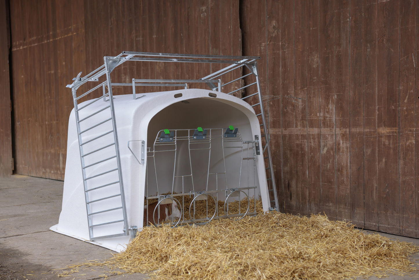 CalfHouse Premium DUO z ograjo