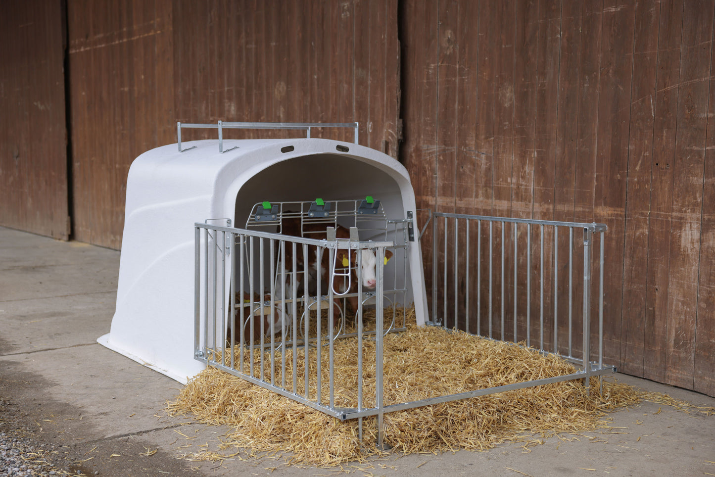 CalfHouse Premium DUO z ograjo