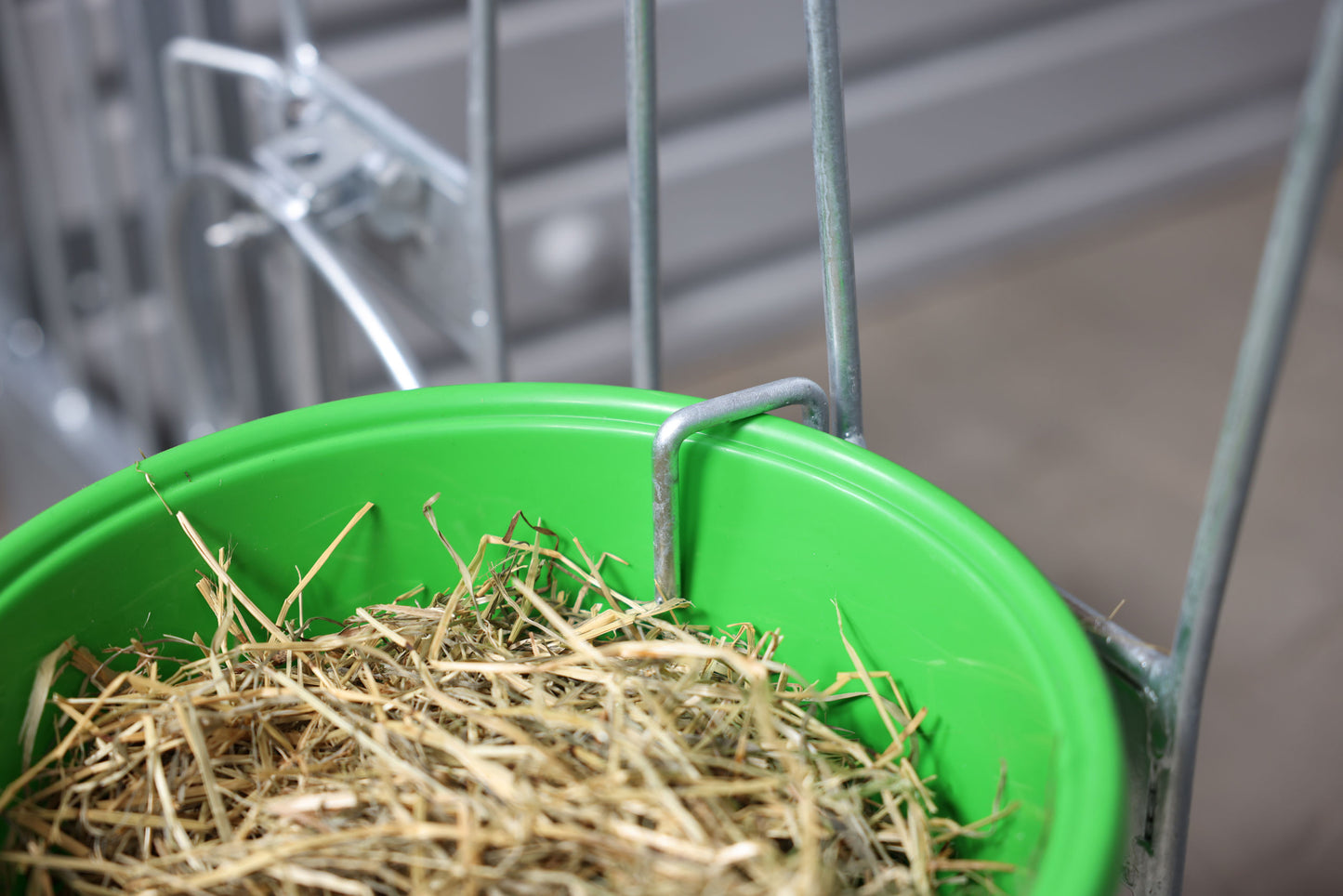 Modularni boks za teleta z dvojnim ograjenim prosto