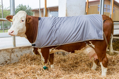 POKRIVALO za krave  - 175cm