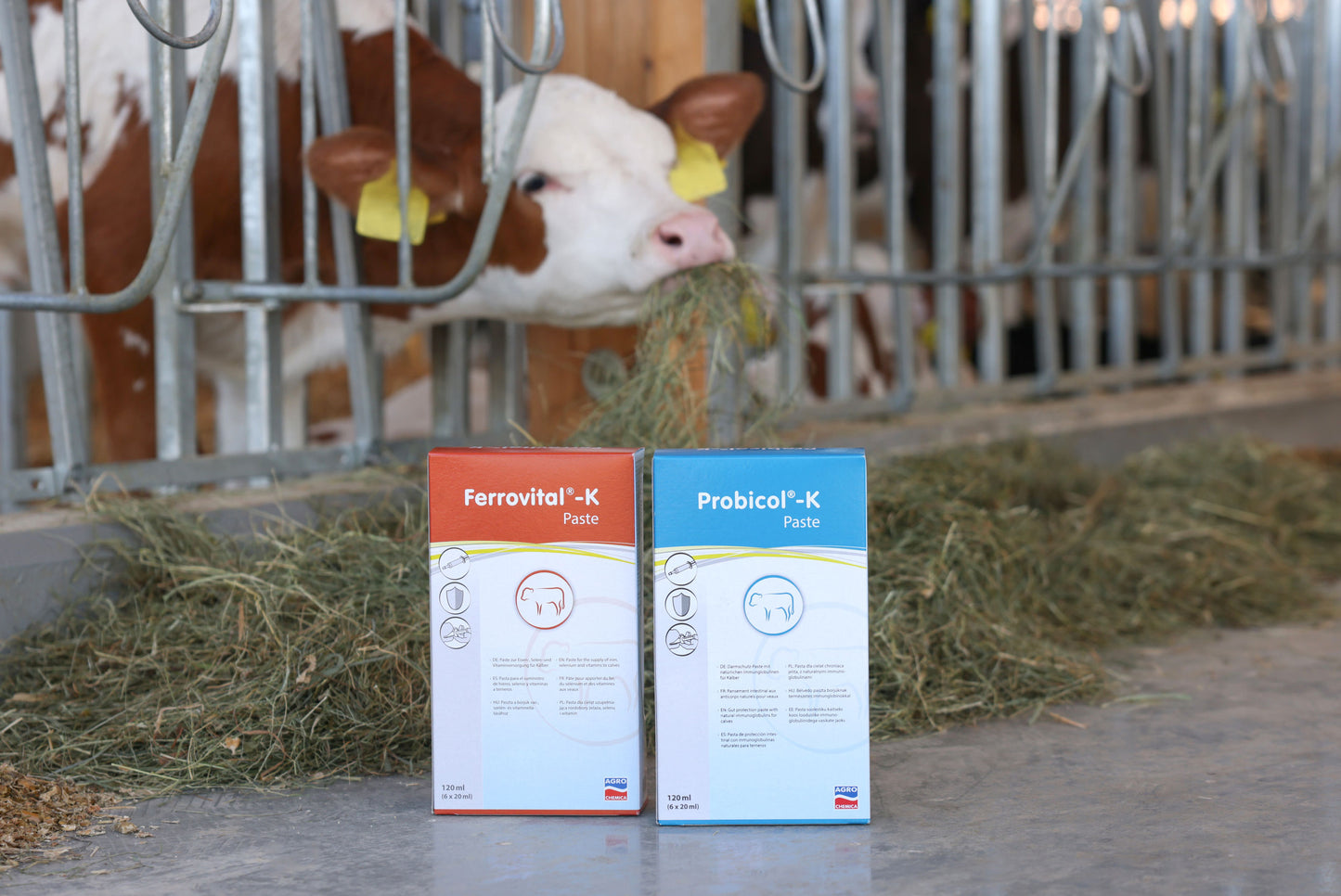 PASTA Ferrovital-K - 6 × 20ml