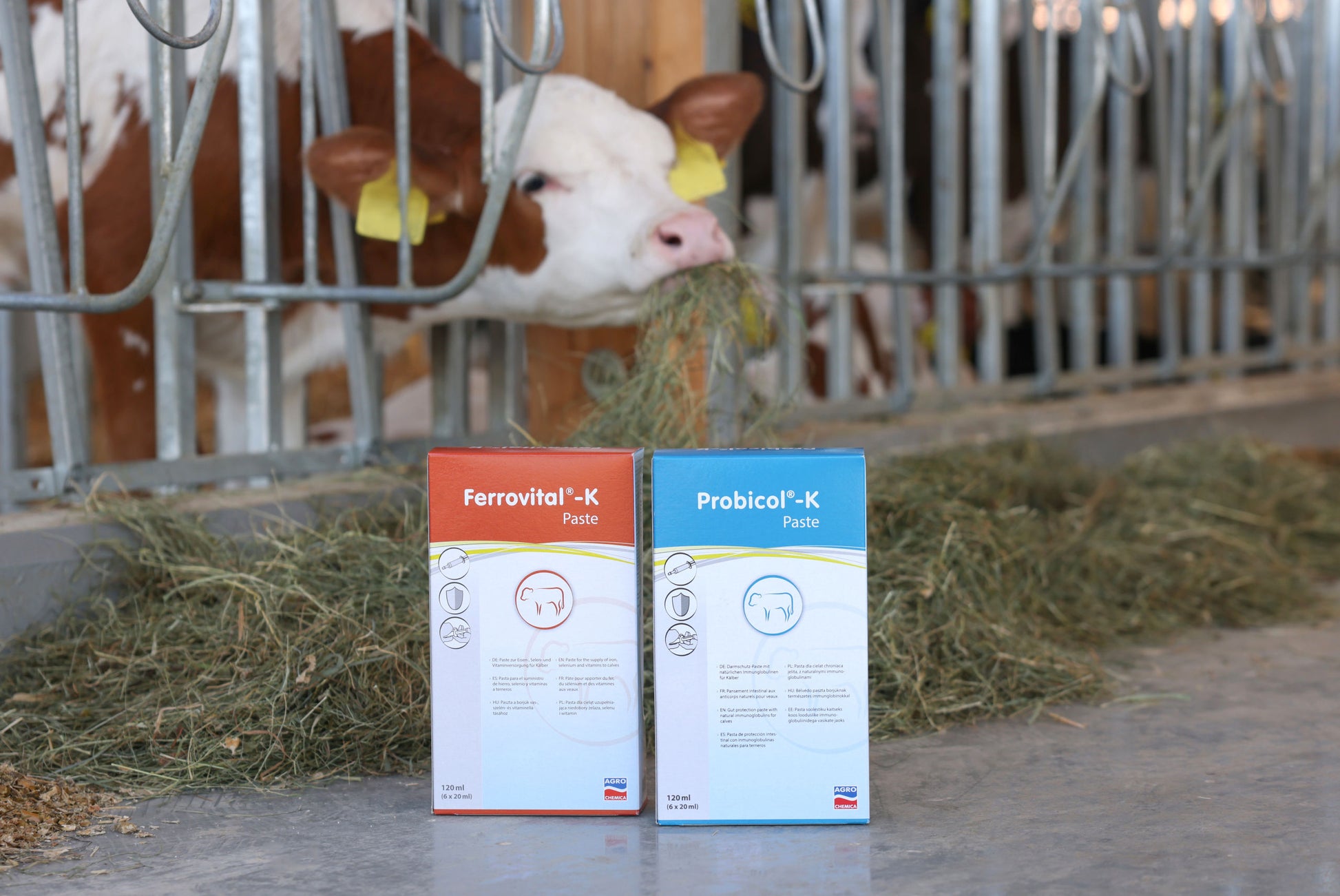 PASTA Ferrovital-K - 6 × 20ml