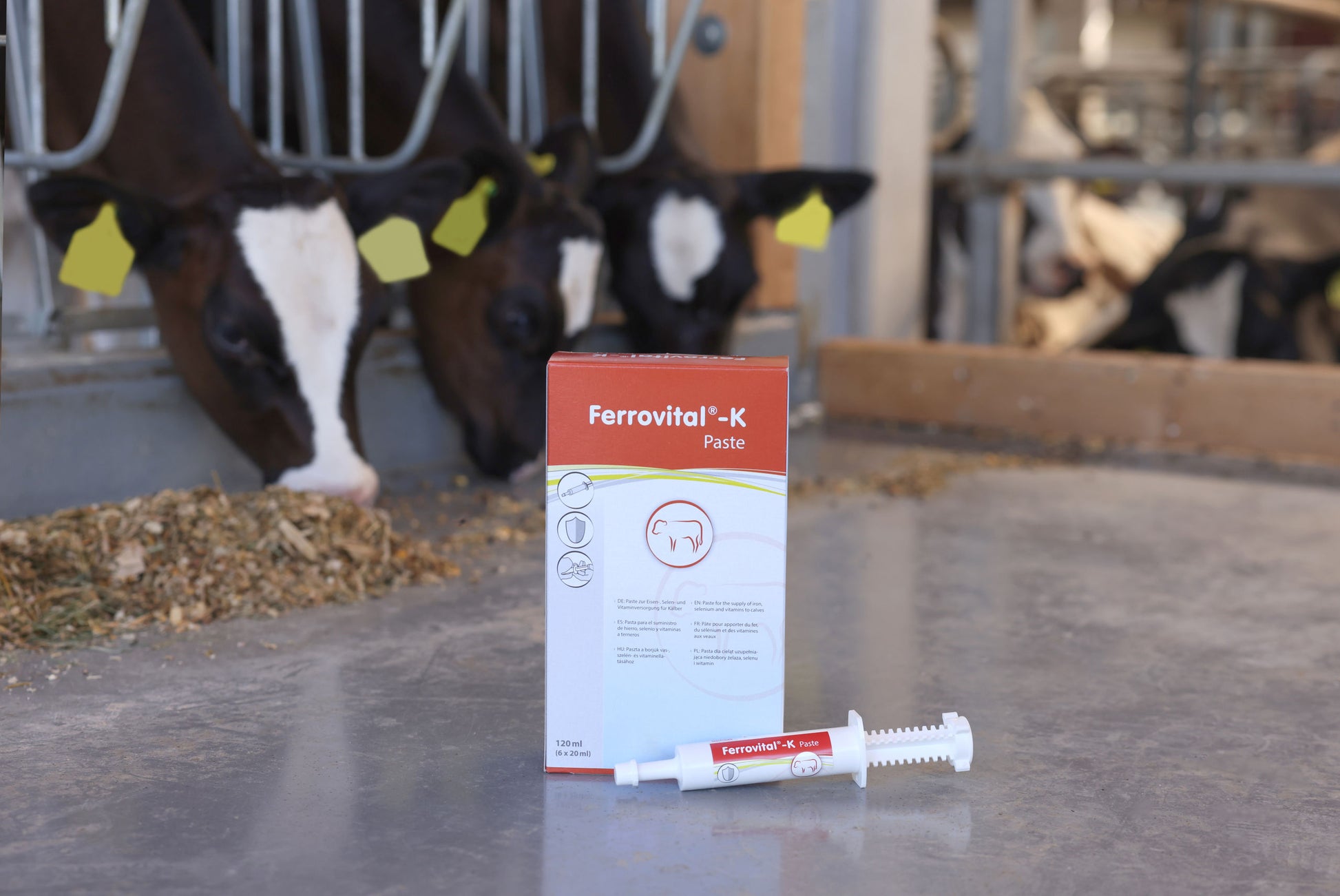 PASTA Ferrovital-K - 6 × 20ml