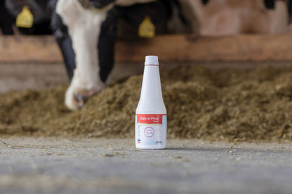 TEKOCINA Calz-o-Phos - 4×500ml