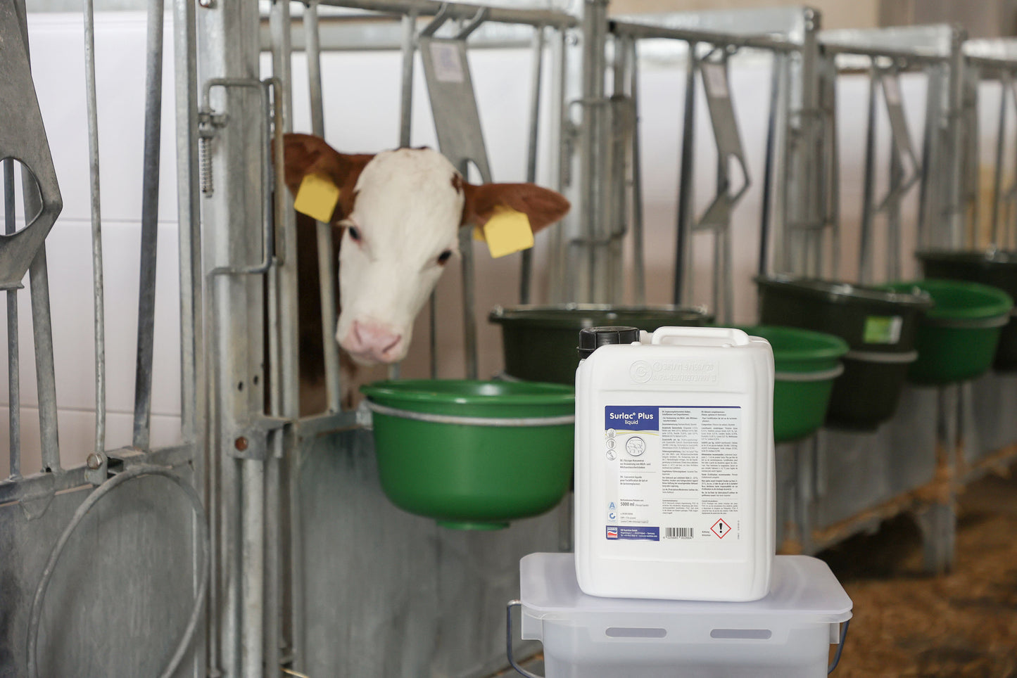 TEKOCINA Surlac Plus - 5000ml