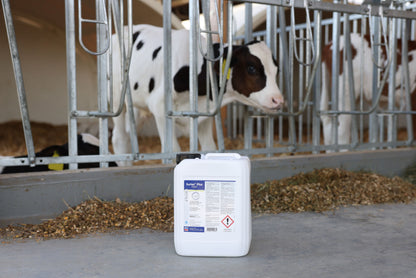 TEKOCINA Surlac Plus - 5000ml