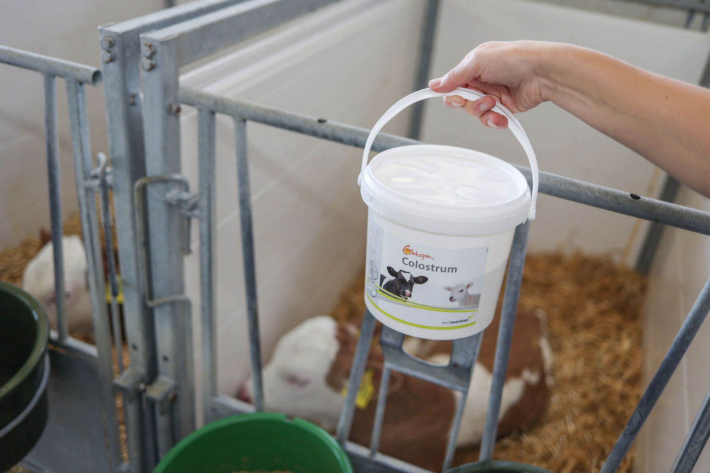 SREDSTVO Globigen Colostrum 1kg