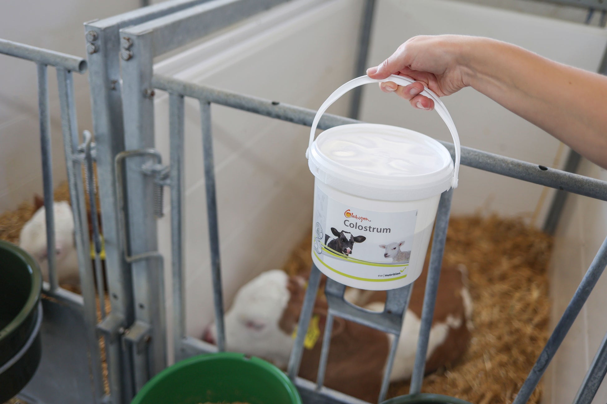 SREDSTVO Globigen Colostrum 1kg