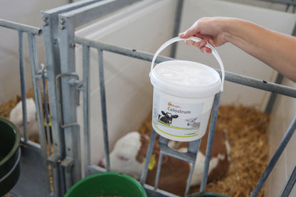 SREDSTVO Globigen Colostrum 1kg