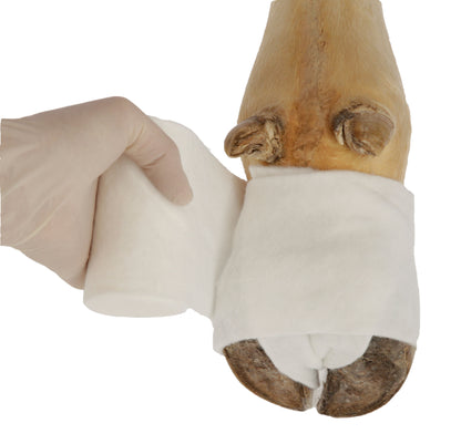 POVOJ oblazinjen CottinoStar 10cm x 3m (6 kos)
