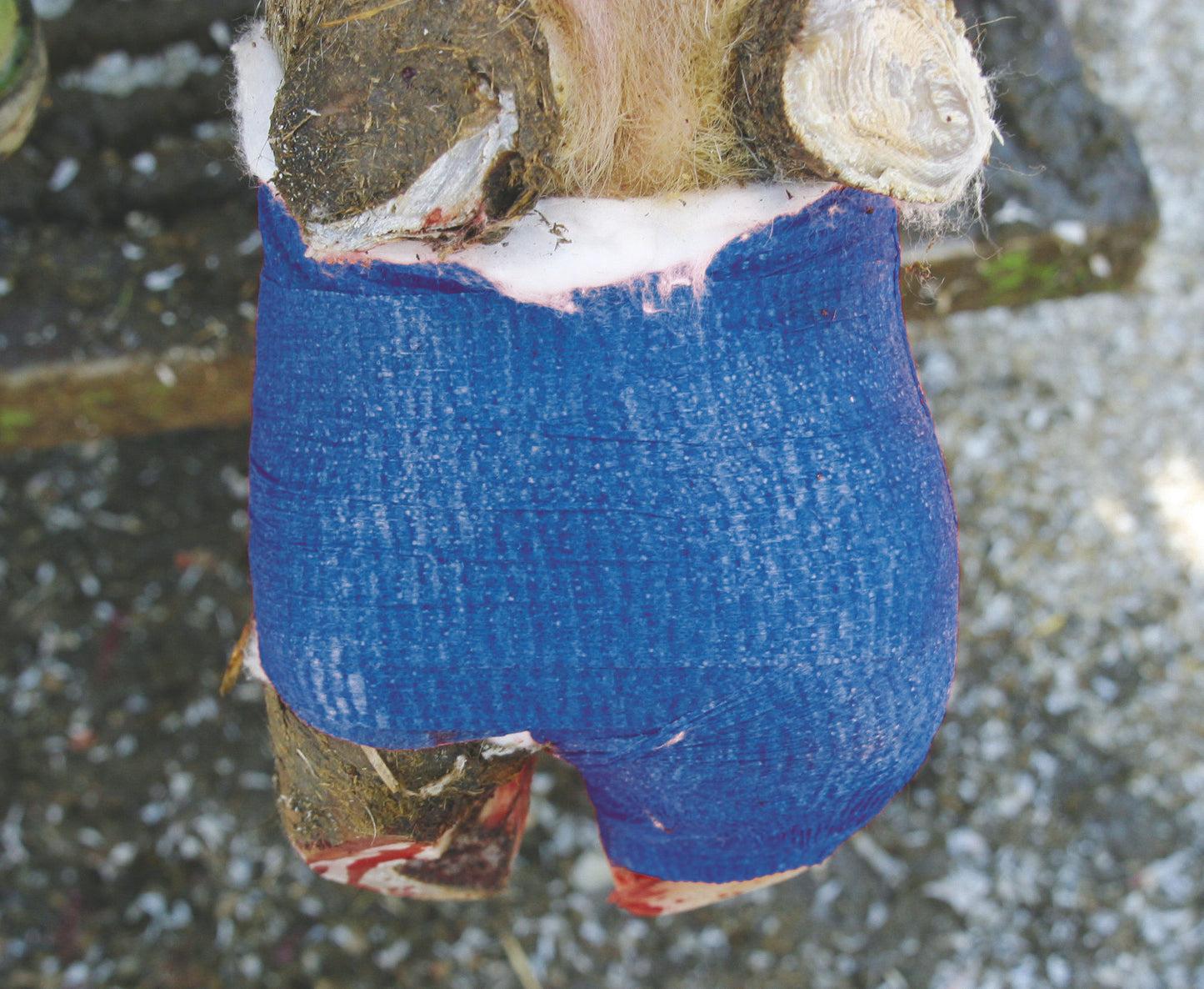 POVOJ VETLastic  7,5cm × 4,5m moder