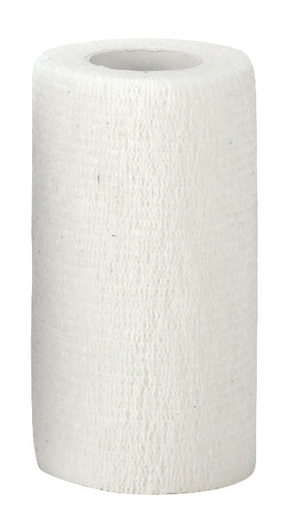 EquiLastic samolepilna Povoj, širine 10 cm, bel