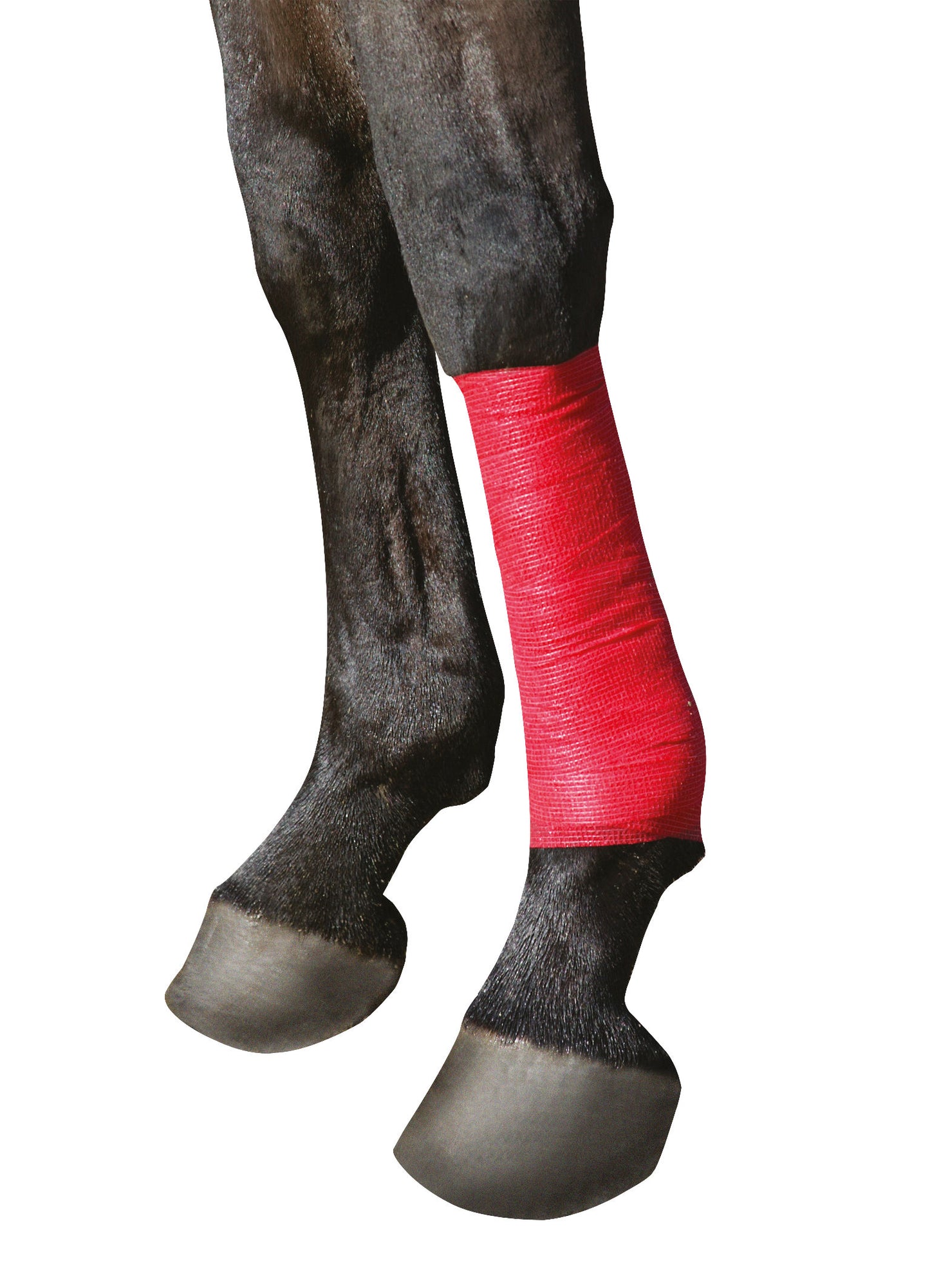 EquiLastic samolepilna Povoj, širine 10 cm, rdeč