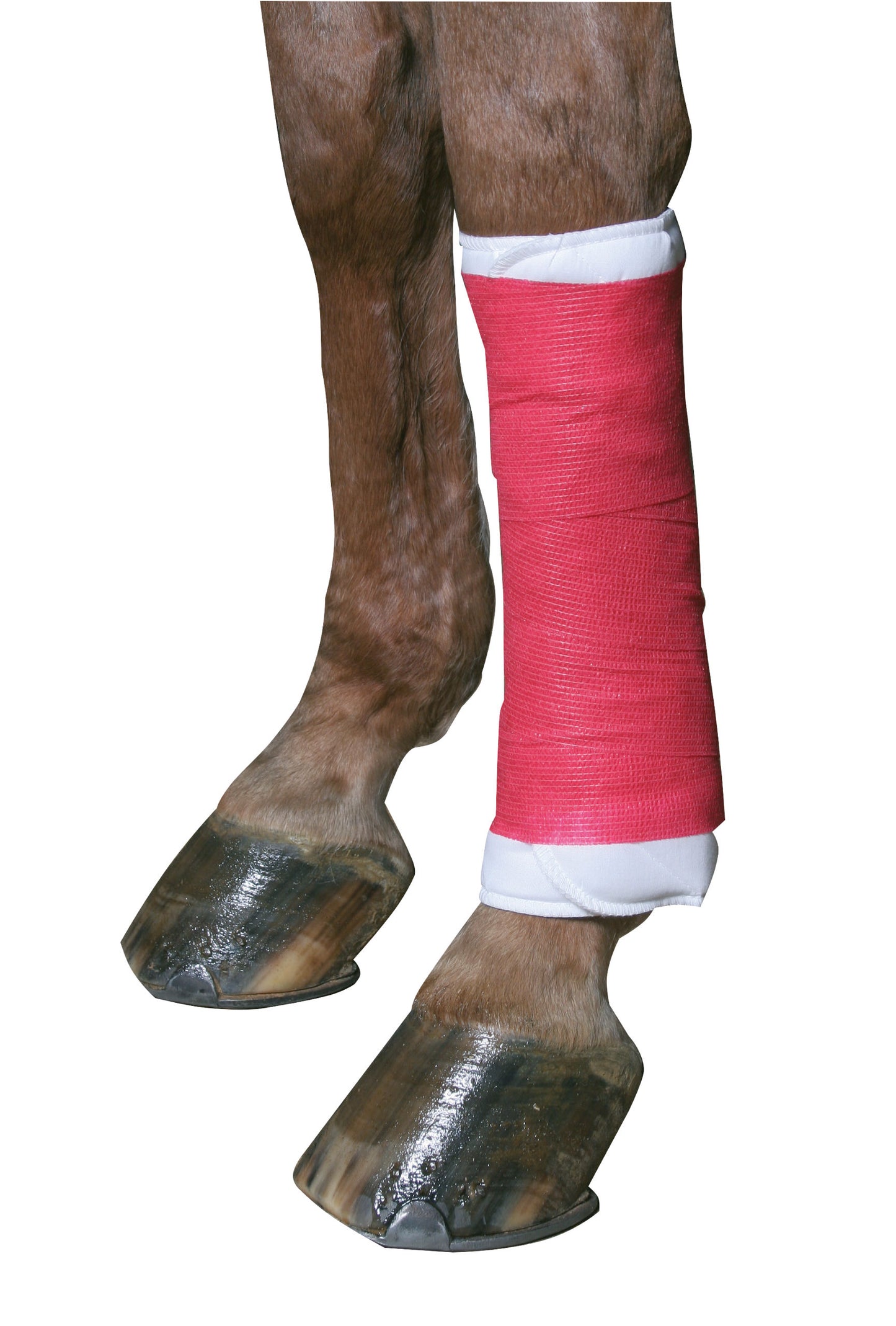 EquiLastic samolepilna Povoj, širine 10 cm, rdeč