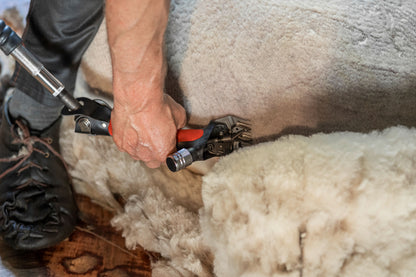 Strojcek za striženje ovac Wellington Worm-Drive, z