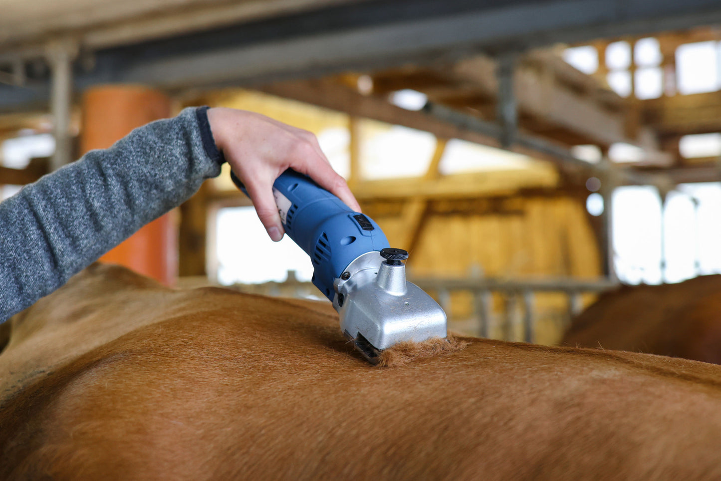EL. ŠKARJE za govedo - FarmClipper Akku2 z 2 bat