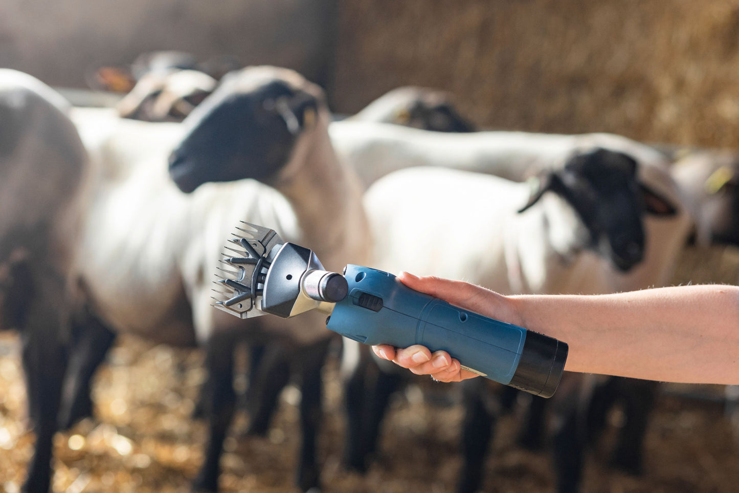ELEKTRICNE ŠKARJE za ovce FarmClipper Akku2