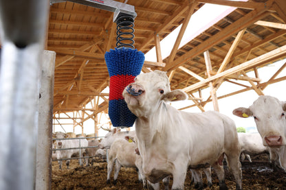 Krtača za govedo HAPPYCOW FlexiSwing