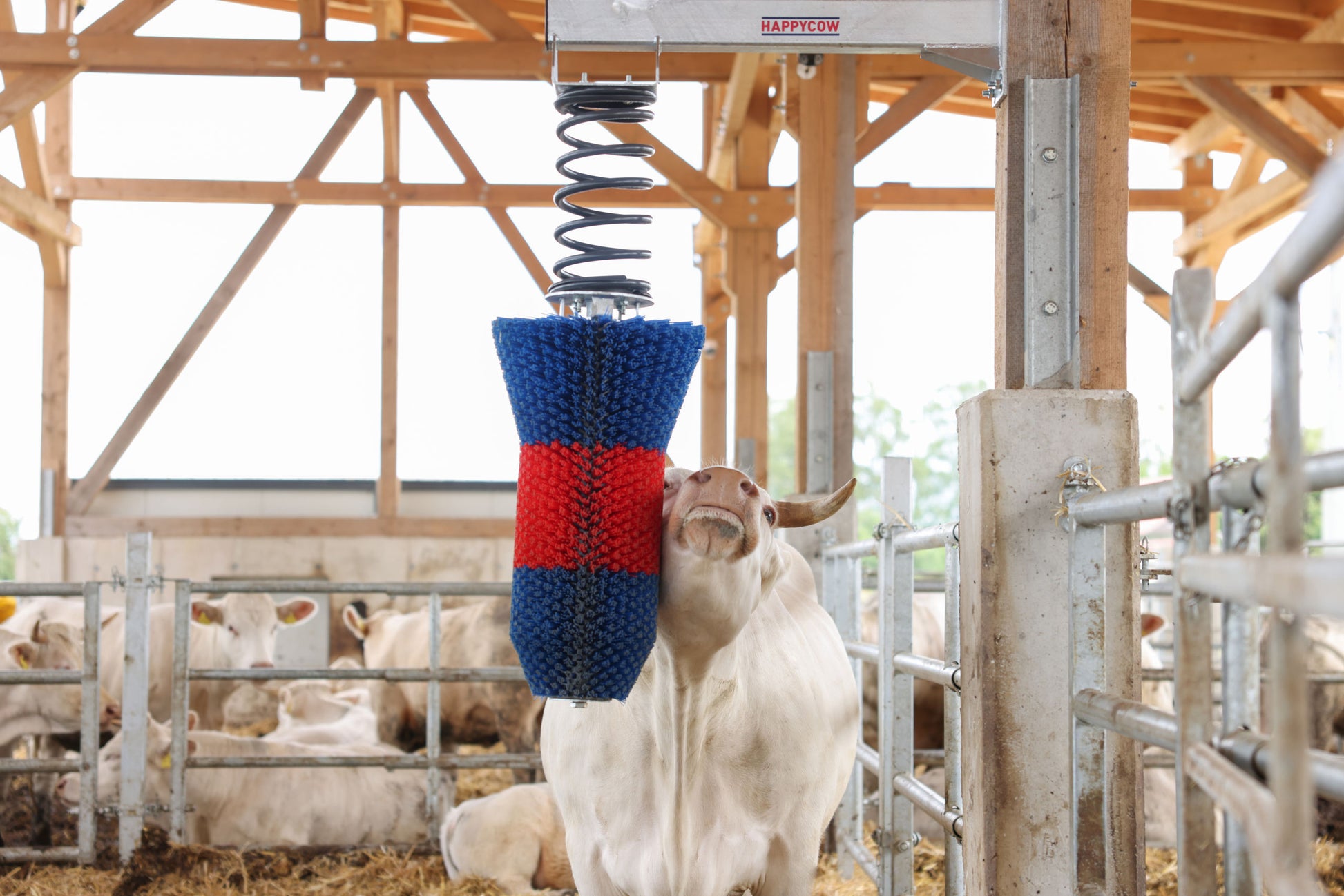 Krtača za govedo HAPPYCOW FlexiSwing