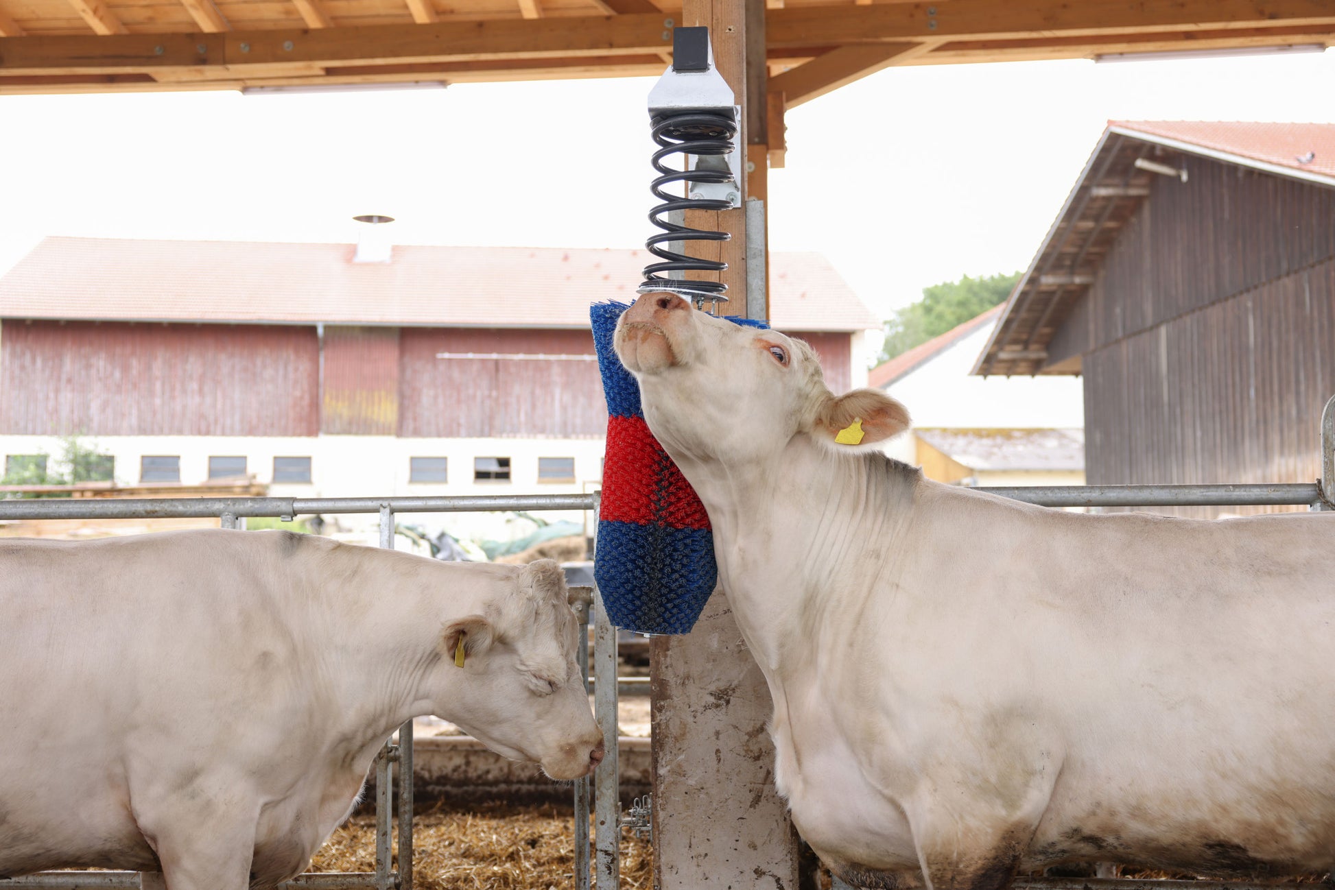 Krtača za govedo HAPPYCOW FlexiSwing