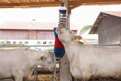 Krtača za govedo HAPPYCOW FlexiSwing